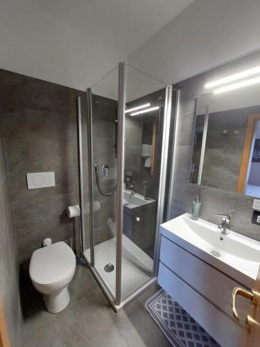 a bathroom with a shower and a toilet and a sink at Bed & breakfast Villa Maria in Cavalese