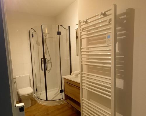 y baño con ducha y aseo. en Ecologis du Vignoble en Katzenthal