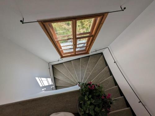 a staircase with a window and a potted plant at Villa Bochert in Zuoz