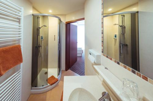 a bathroom with a shower and a sink at Hotel Sonnental in Neusorg