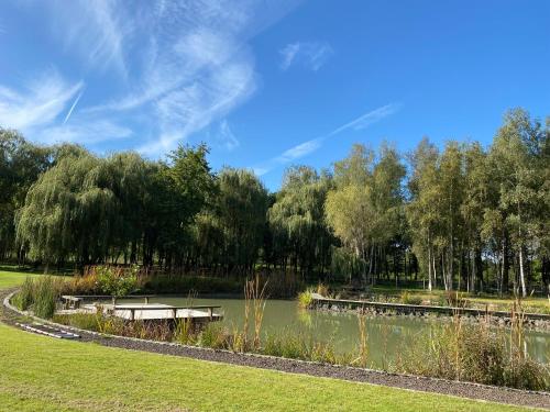 a pond in a park with trees and grass at Rustiek vakantiehuis in 't groen in Lier