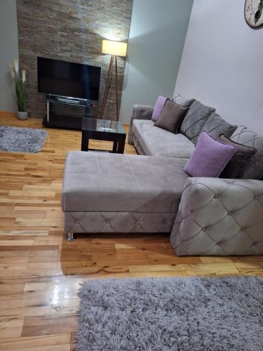 a living room with a couch and a television at Apartmani Radulović in Vrnjačka Banja