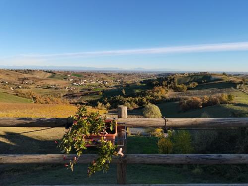 Cantina Visconti - Agriturismo