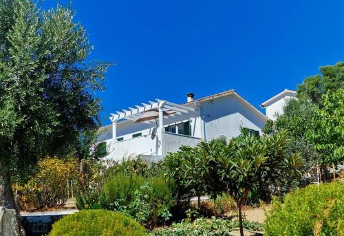 a white house with trees in front of it at Casa Grande Abrunheiro Grande in Vila de Rei