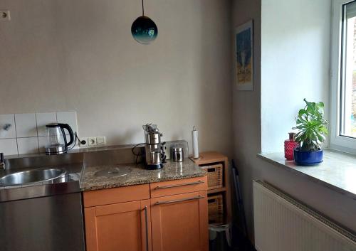 a kitchen with a sink and a counter at Grand Central in Krummennaab
