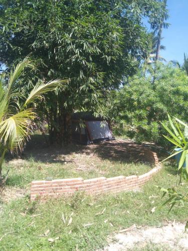 eine Ziegelmauer unter einem Baum im Gras in der Unterkunft Zelt 4 Pers. 2Zi. in Klong Wan