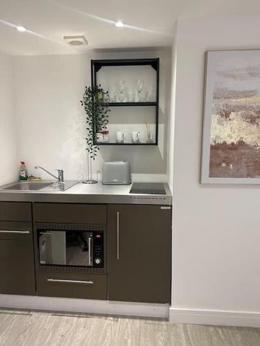 a kitchen with a sink and a microwave at 2 Studio flat, 50m from Airbus in Bristol