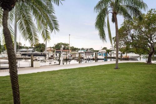 a park with palm trees and a marina at Ramada by Wyndham Sarasota Waterfront in Sarasota