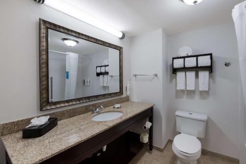 a bathroom with a sink and a toilet and a mirror at Hampton Inn Marshall in Marshall