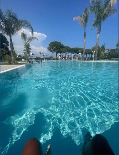 a swimming pool with blue water and palm trees at Villaggio Jonio Blu in Bianco