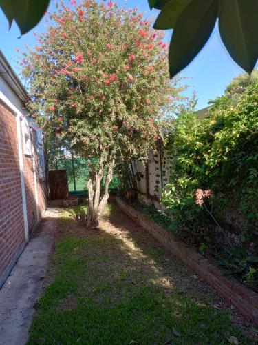 a tree with red flowers on it next to a building at LA FATIMA in Gualeguaychú
