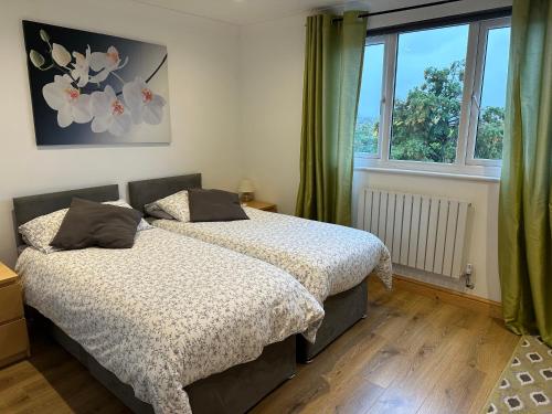 a bedroom with two beds and a window at En-suite at Denmark Hill in London