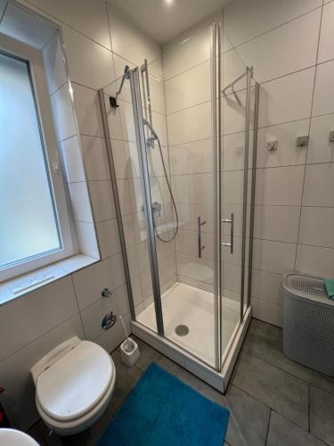 La salle de bains est pourvue d'une douche et de toilettes. dans l'établissement Zentral gelegene Wohnung, à Nuremberg