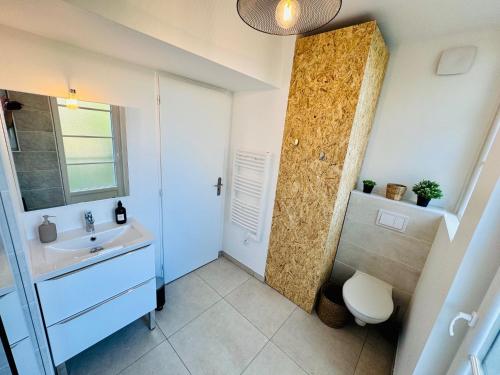 uma casa de banho com um lavatório e um chuveiro em Chaleureux T2 proche gare em Bourgoin