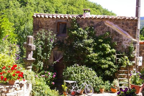 gîte écolo Avène, proche Nature et Lerab Ling BILINGUAL IL FAUT lire PLUS BAS sous la rubrique VOTRE HOTE avec photo