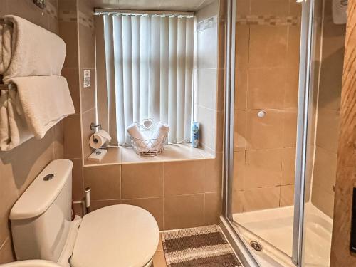 a bathroom with a toilet and a shower at Ringinglow Toy Cottage in Fulwood