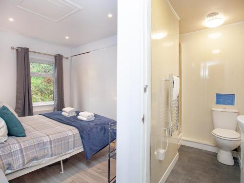 Baño pequeño con cama y aseo en Meadow View - Uk44608, en Carnbrea