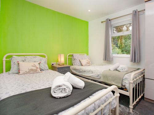 a green room with two beds and a window at Meadow View - Uk44608 in Carnbrea