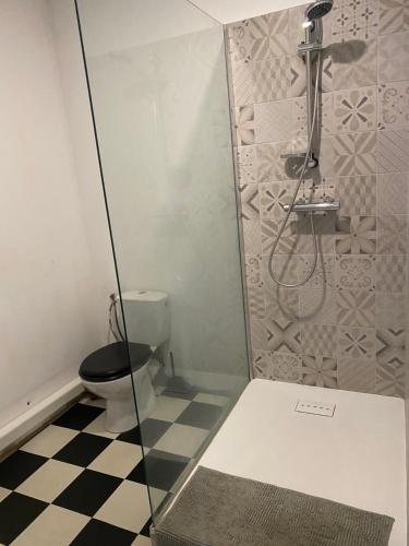 ein Bad mit einem WC und einer Dusche in der Unterkunft Appartement chaleureux au cœur de la ville in Saintes