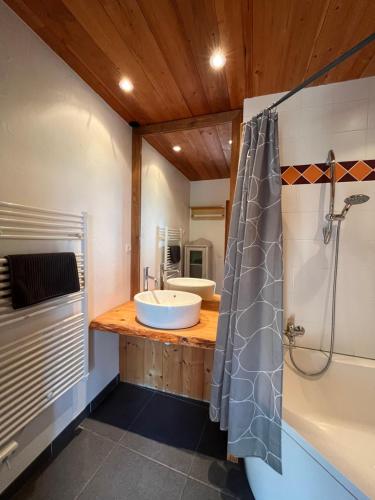 une salle de bain avec un lavabo et une douche dans l'établissement Apartment Belledonne 3 minutes from Alpe d Huez Grand Domaine via Oz en Oisans, à Oz