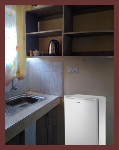 eine kleine Küche mit Spüle und Kühlschrank in der Unterkunft VILLA DE LEO in Bungoma