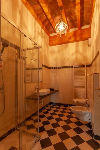 a bathroom with a shower and a sink and a toilet at Villa Cairoli Gonzaga in Gonzaga