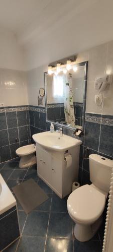 a bathroom with a toilet and a sink at Andika Apartman Szajk in Szajk