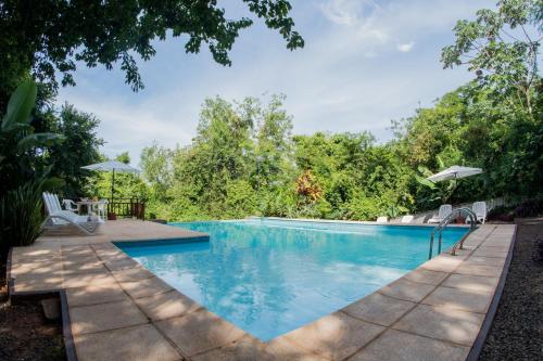 a swimming pool in a backyard with trees at Raices Amambai Lodges in Puerto Iguazú