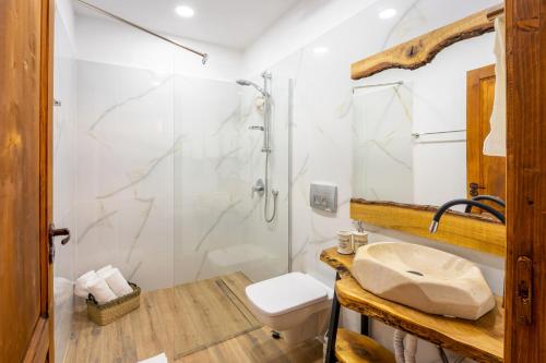 a bathroom with a shower and a toilet and a sink at Casa Maya Transilvania in Sighişoara