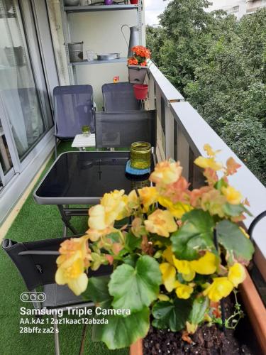un balcon avec une plante en pot sur une table dans l'établissement studio Boulogne Billancourt, à Boulogne-Billancourt