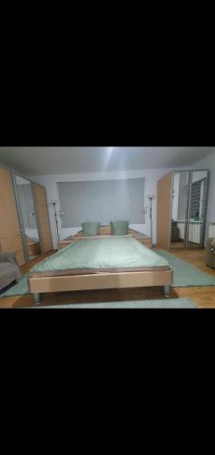 a bedroom with a large bed in a room at Ap Central Traian Moșoiu 2 Parcare proprie in Cluj-Napoca