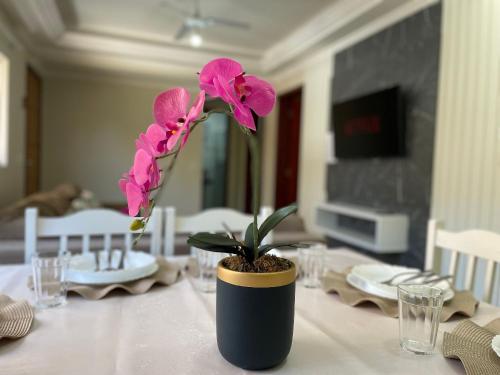 a table with a vase with pink flowers on it at Residencial 364 - Localização privilegiada à 5min da praia in Bombinhas