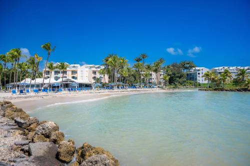 a beach with chairs and palm trees and buildings at Appartement bord de mer très fonctionnel -accès direct plage & Vue mer exceptionnelle in Le Gosier