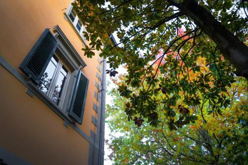 a building with a window and a tree next to it at Villa Ines charme near Lucca in Altopascio