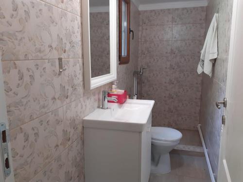 Koupelna v ubytování Casa Maia Dambovicioara