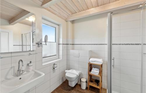 ダゲビュルにある1 Bedroom Lovely Home In Dagebllのバスルーム(トイレ、洗面台、シャワー付)