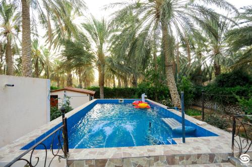 a swimming pool with a pool noodle in a yard with palm trees at Dar Barka in Kebili