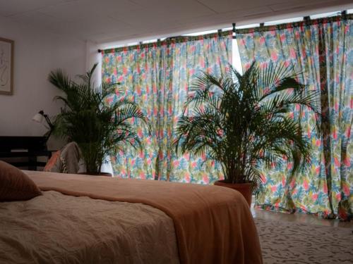 Krevet ili kreveti u jedinici u okviru objekta Lolas Hostal Apartamento Equipado