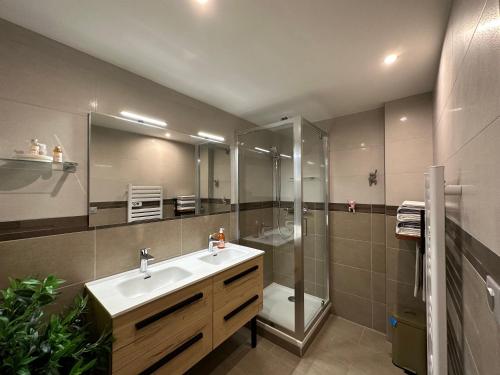 uma casa de banho com um lavatório e um chuveiro em Chez Gaston - Entrelacs 