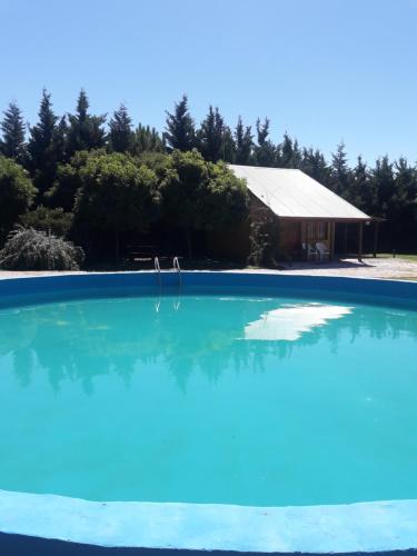 a large blue swimming pool with a house in the background at Cabañas Las Moras in Trenque Lauquen