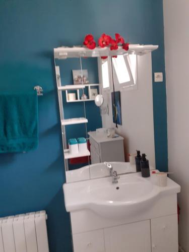 a bathroom with a white sink and a mirror at Les Oiseaux chambre d'hôtes in Saint-Florent-sur-Cher