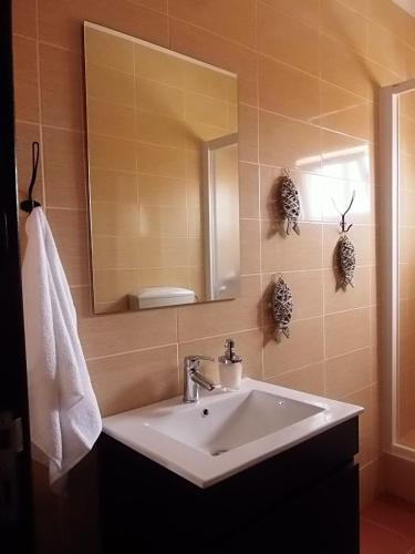 a bathroom with a sink and a mirror at Alojamento Espigas in Azoia