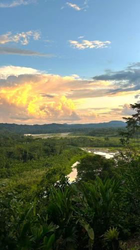 a view of a river in a field at Gaia Amazon Eco Lodge in Ahuano