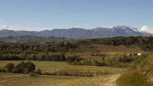 a view of a field with mountains in the background at Tenute Donna Franca in Elice
