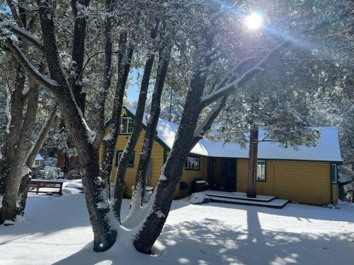 Το Serene and Magical Cabin w/Barrel Sauna and Fireplace τον χειμώνα