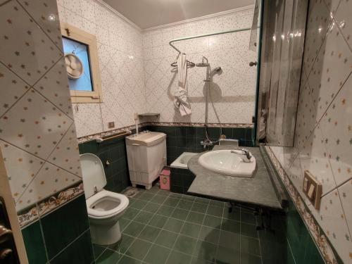 a bathroom with a toilet and a sink at شقه مفروشه مميزه جدا لعائله بالدقي in Cairo