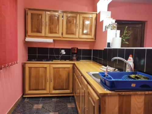 a kitchen with wooden cabinets and a blue sink at Pensiunea Trei brazi Scărișoara in Scărişoara