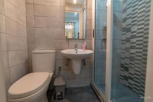 ein Bad mit einem WC, einem Waschbecken und einer Dusche in der Unterkunft Quaint Studio apartment in Vittoriosa
