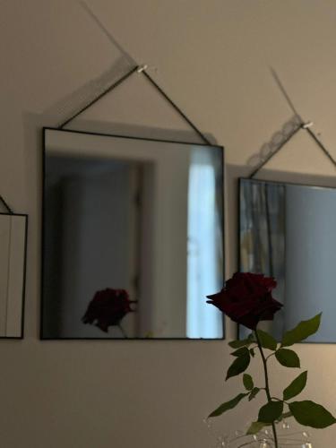 a mirror on a wall with a rose in a vase at LARDA TBILISI in Tbilisi City