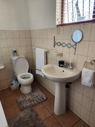 een badkamer met een toilet en een wastafel bij Squirrels Guest House in Johannesburg
